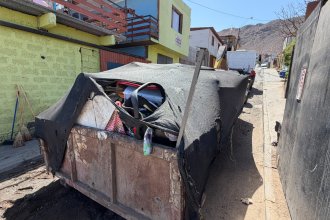 WhatsApp Image 2026-02-18 at 13.51.51 (1).jpeg